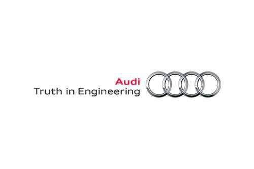 Audi 4h0919311 genuine oem factory original plug