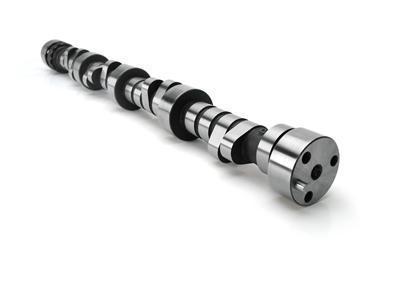 Lunati voodoo camshaft 10120705