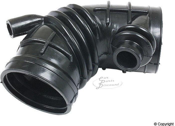 Air intake boot (dual appendage)