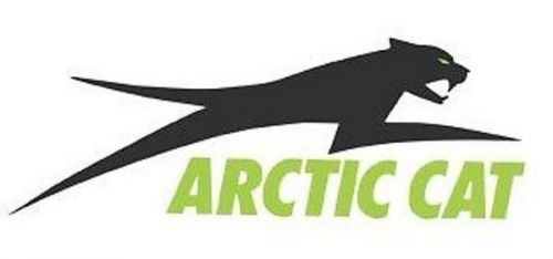 Arctic cat decal 12&#034; ~ 4299-726