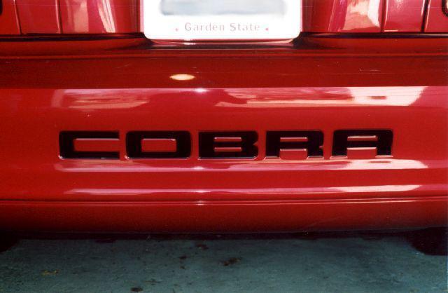 Ford mustang cobra rear bumper decals 99 00 01 02