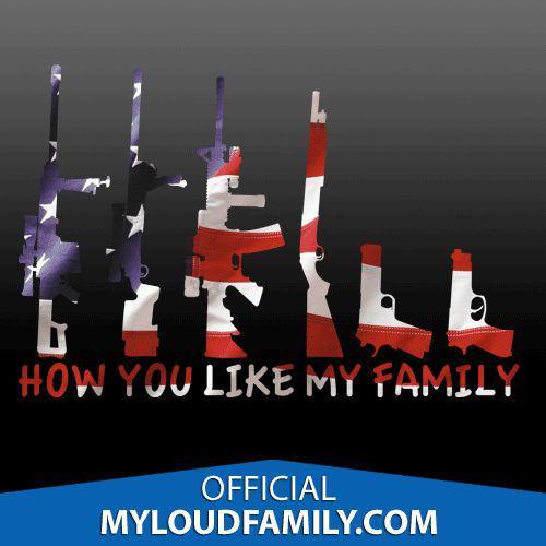 Gun family decal stickers united states flag edition