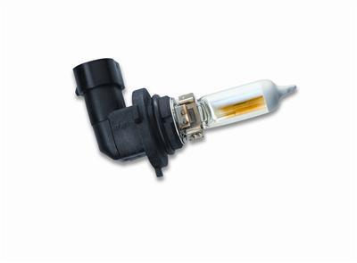 Piaa plasma ion yellow light bulb 13506