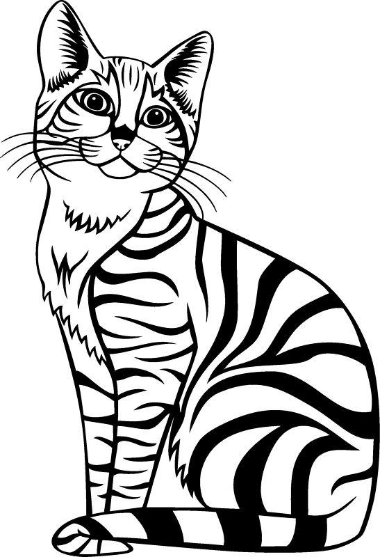 Cat animal kitten  car truck window wall laptop vinyl decal sticker