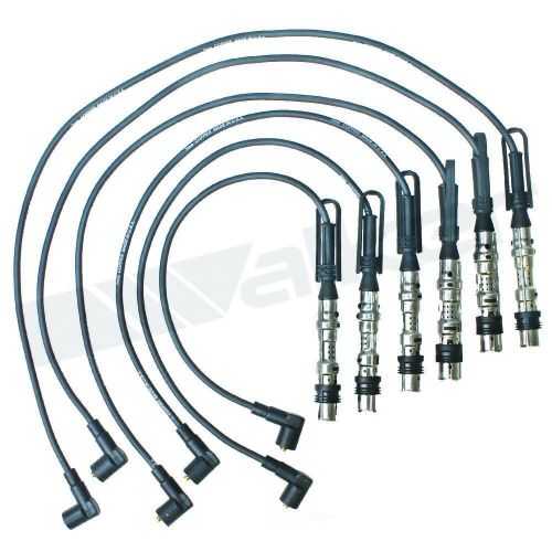 Ignition wire set  walker products  924-2038