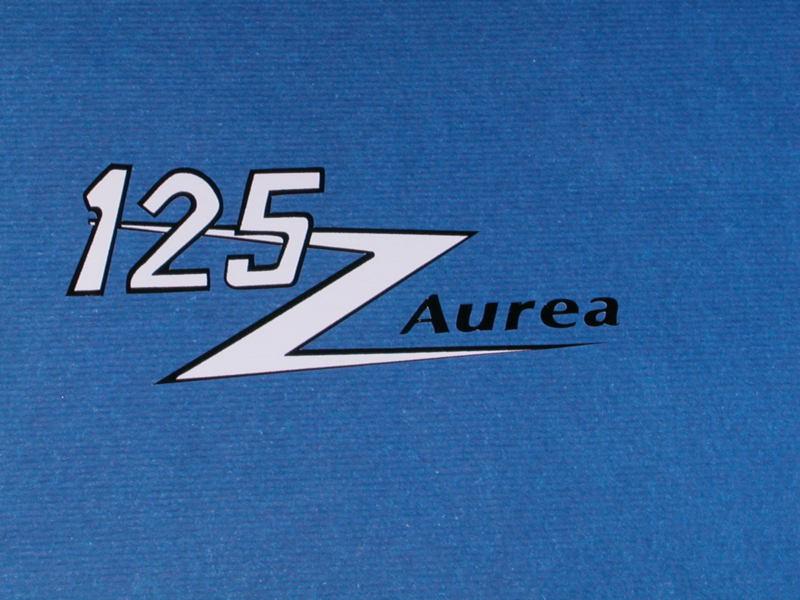 Pair stickers for  ducati single aurea