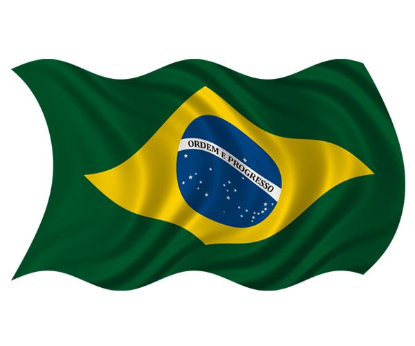 Brazil waving flag decal 5"x3" brazilian vinyl car window bumper sticker zu1