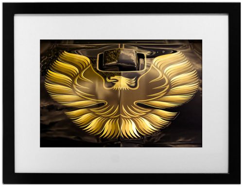 1979 pontiac firebird trans am muscle car photo art print 13x19 6.6 t/a v8 &#039;79