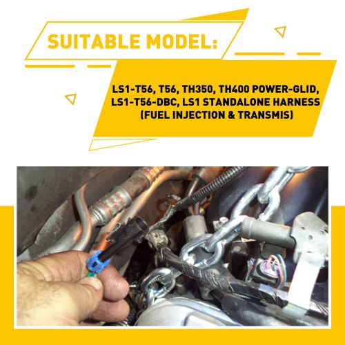 Standalone wiring t56 harness or non-electric tran 4.8 5.3 6.0 dbc ls1 1997-2006