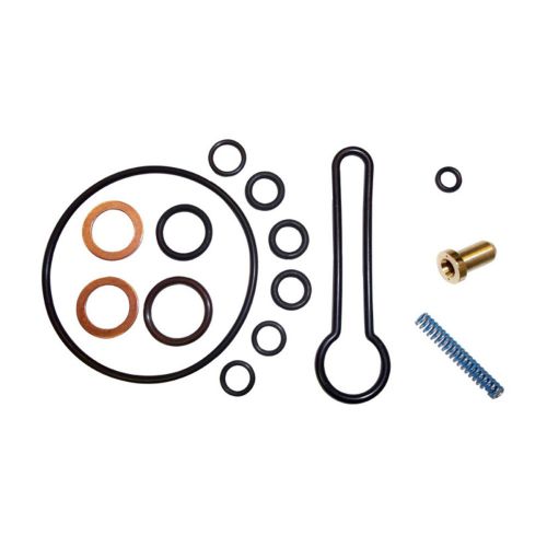 Fuel pressure regulator service kit( the complete blue spring kit ) for a ford p