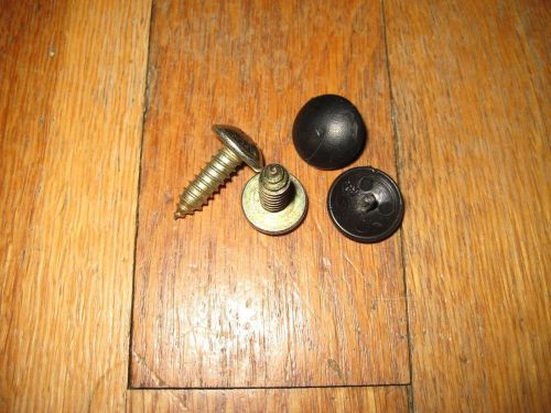 Mercedes benz 300/500/600sl -trim screws w/caps