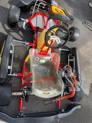 Righetti ridolfi racing gokart with briggs lo206