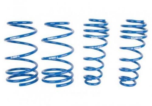 Roush mustang lowering springs 404472