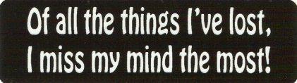 Motorcycle sticker for helmets or toolbox #362-1 all the things i've lost