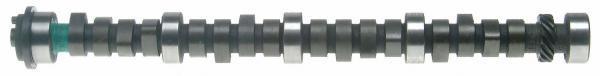 Sealed power camshaft cs698