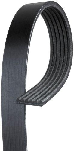 Gates k060455 serpentine belt/fan belt-micro-v at premium oe v-ribbed belt