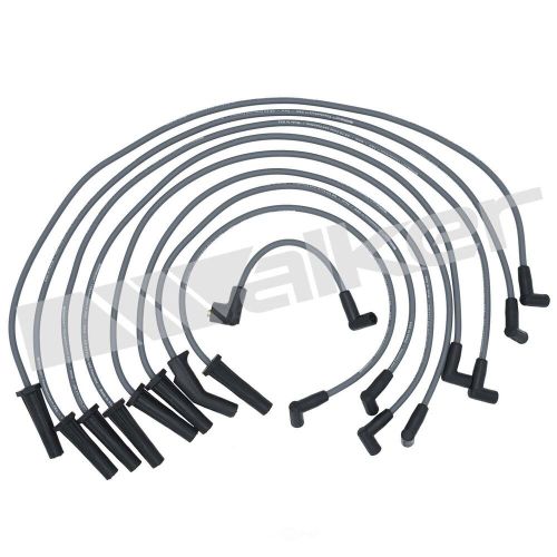 Ignition wire set  walker products  924-1445