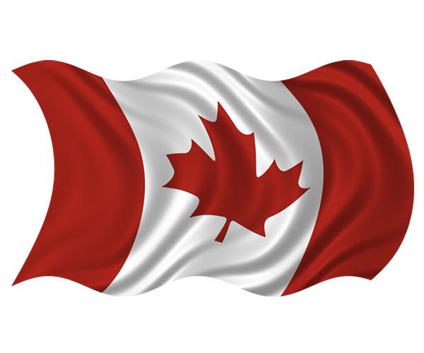 Canada waving flag decal 5"x3" canadian maple leaf vinyl bumper sticker (rh) zu1