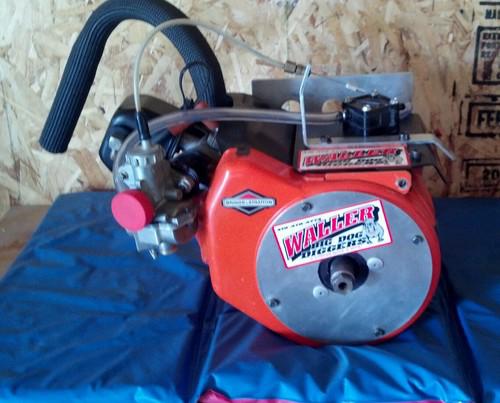 Racing go kart briggs waller animal engine. low lap