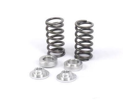 02-06 kawasaki klx110 klx 110 bbr hd valve springs suzuki dzr11 dzr 110 