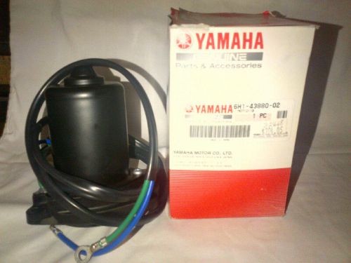 Yamaha 6h1-43880-02-00 motor assy