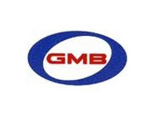 Gmb 125-3360 new water pump