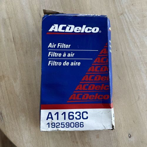 Air filter genuine oem a1163c ac delco