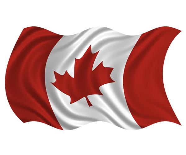 Canada waving flag decal 5"x3" canadian maple leaf vinyl bumper sticker (lh) zu1