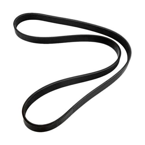 Serpentine belt mercruiser 305 350 alpha replacement 57-865615q04 865615q04 new