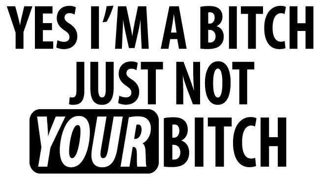 Not your bitch funny decal laptop car laptop vinyl sticker free usps shipping