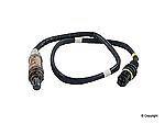 Wd express 800 06009 101 oxygen sensor