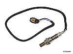 Wd express 800 32054 745 oxygen sensor