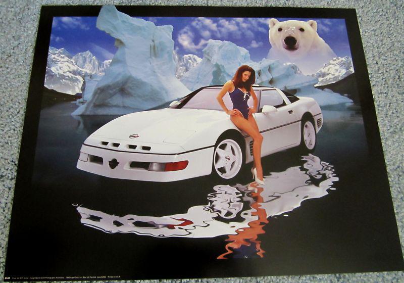  corvette poster "polar bear"  (with model)  16"x 20" 