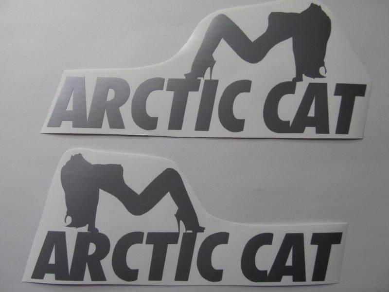 Arctic cat artic snowmobile decal atv quad trailer helmet sled sticker any color