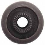 Raybestos 565-1185 lower control arm bushing or kit