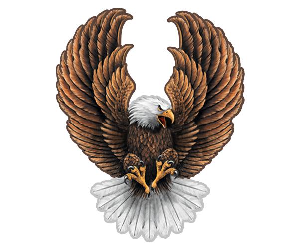 Eagle decal 5"x3.8" american usa biker motorcycle vinyl sticker (rh) zu1