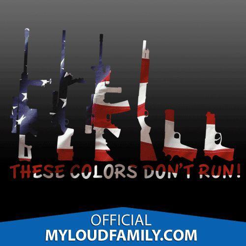 These colors don't run gun family decal stickers us flag edition