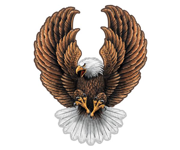 Eagle decal 5"x3.8" american usa biker motorcycle vinyl sticker (lh) zu1