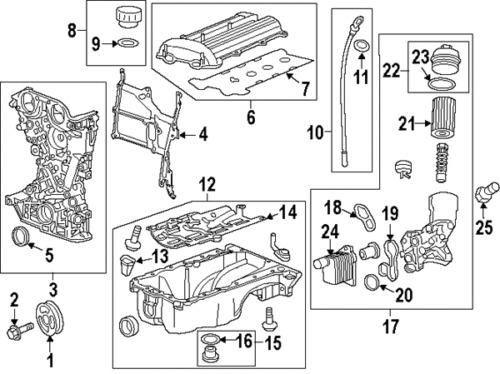 Chevrolet 55568037 genuine oem factory original drain plug