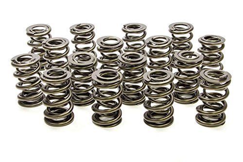 1.625 dual valve springs - (16)