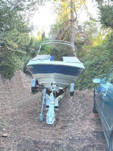 Bayliner capri 18 with 125hp