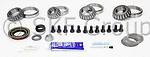 Skf sdk304mk differential bearing set