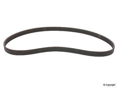 Wd express 676 38033 259 v-belt/fan belt-continental serpentine belt