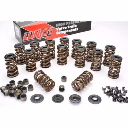 Lunati 73925k1 ls1 ls2 ls6 gold dual valve spring kit .660 lift springs ls3 ls7