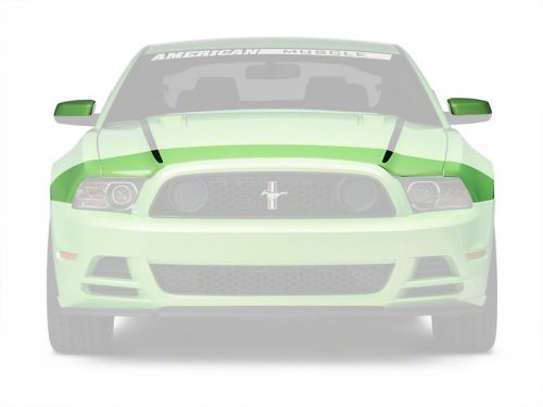 3m ford mustang paint protection clear bra film - hood &amp; mirror (13-14 all)