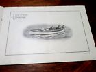 1908 caille perfection marine motors detroit catalog 7 motors price testimonials