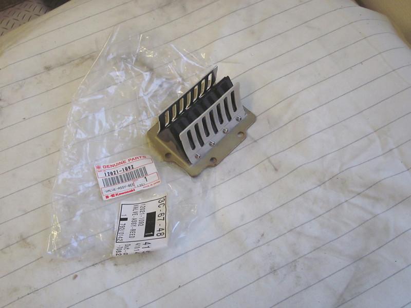 Kawasaki kx250 j2 1993 -93 reed valve assy 12021-1092 nos