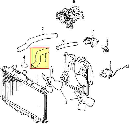 Toyota 1657203070 genuine oem factory original lower hose