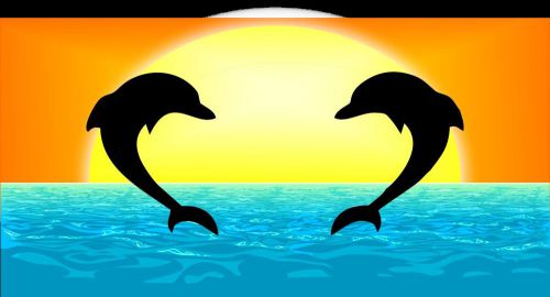 Dolphin sunset license plate- personalize for free