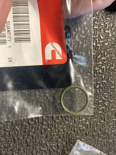 5.9l cummins 3913994 genuine timing pin o-ring